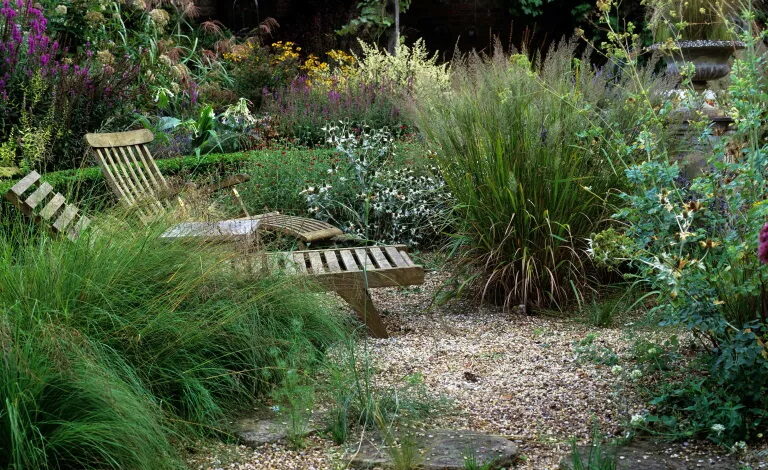 Garden Design Ideas: 05 Ways To Update Your Space With Planting